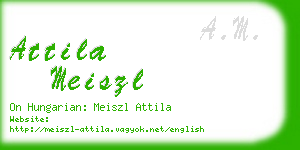 attila meiszl business card